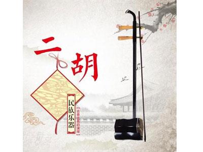 招聘玉林二胡家教老师